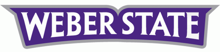 Weber State Wildcats 2012-Pres Wordmark Logo iron on transfers for fabric